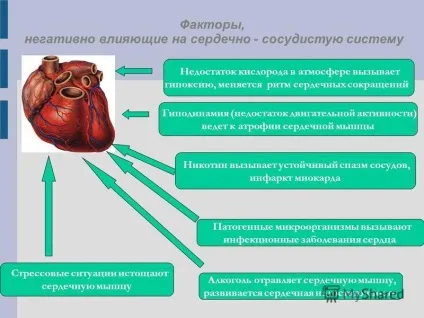 Презентація на тему захворювання серцево-судинної системи (захворювання) Презентація на тему захворювання серцево-судинної системи