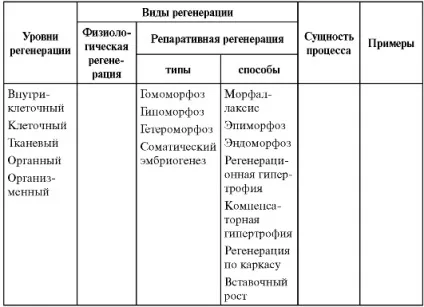 Розділ 4 гомеостаз