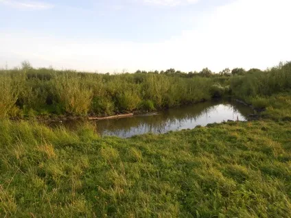 Пшоняна каша з картоплею по-селянськи рецепт з фотографіями (пшоняна) Пшоняна каша з картоплею по-селянськи рецепт з фотографіями