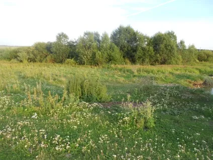 Пшоняна каша з картоплею по-селянськи рецепт з фотографіями (пшоняна) Пшоняна каша з картоплею по-селянськи рецепт з фотографіями