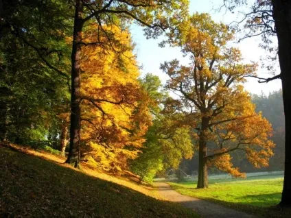 Пругоніцкій парк
