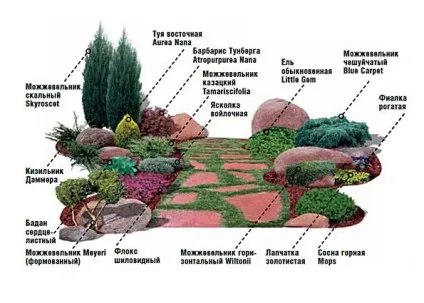 Рокарій своїми руками (фото) стилі рокариев, вибір рослин, оформлення (стилі)