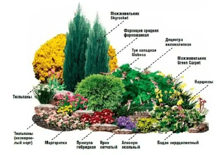 Рокарій своїми руками (фото) стилі рокариев, вибір рослин, оформлення (своїми) Рокарій своїми руками (фото) стилі рокариев, вибір рослин, оформлення