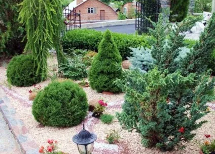 Рокарій своїми руками (фото) стилі рокариев, вибір рослин, оформлення (своїми) Рокарій своїми руками (фото) стилі рокариев, вибір рослин, оформлення