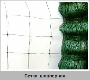 Сітка для огірків