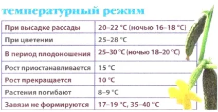 Сітка для огірків