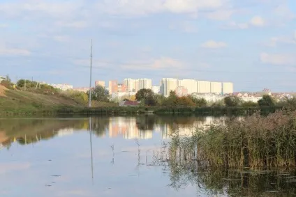 Щелковського хутір в Нижньому Новгороді, природа (нижньому) Щелковського хутір в Нижньому Новгороді, природа