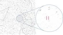 Сигнал «wow! »