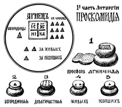 Скосарь вячеслав юрьевич