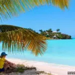 Сочі троянда хутір як дістатися і скільки коштує (стоїть) Сочі троянда хутір як дістатися і скільки коштує