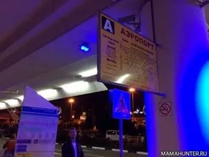 Сочі троянда хутір як дістатися і скільки коштує (стоїть) Сочі троянда хутір як дістатися і скільки коштує