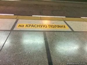 Сочі троянда хутір як дістатися і скільки коштує (сочи) Сочі троянда хутір як дістатися і скільки коштує