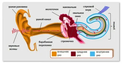 Повідомлення про звук тембр і висота, гучність і швидкість
