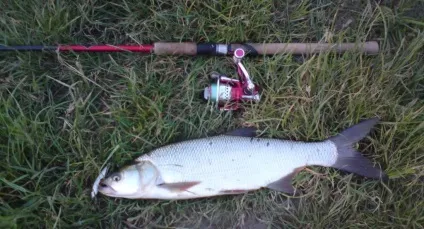 Спінінг shimano catana cx 210ul - ідеальний для початківців (shimano) Спінінг shimano catana cx 210ul - ідеальний для початківців