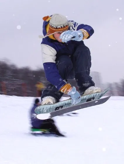 сноускейт; сноускейт santa cruz snowskate; купити snowskate santa cruz в москві - сноускейт santa (сноускейт) сноускейт; сноускейт santa cruz snowskate; купити snowskate santa cruz в москві - сноускейт santa