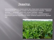 Країни плантаційного господарства (плантаційного) Країни плантаційного господарства