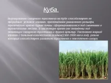 Країни плантаційного господарства (країни) Країни плантаційного господарства
