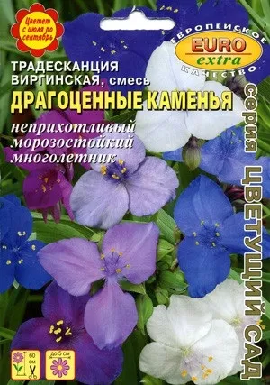 Посадка, види і корисні властивості рослини традесканції кімнатна (посадка догляду види корисні властивості рослини квітка традесканція кімнатна) Посадка, види і корисні властивості рослини традесканції кімнатна