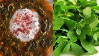 Портулак городній лікувальні властивості, фото, методи боротьби (городній) Портулак городній лікувальні властивості, фото, методи боротьби