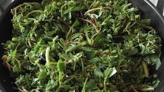 Портулак городній лікувальні властивості, фото, методи боротьби (властивості) Портулак городній лікувальні властивості, фото, методи боротьби