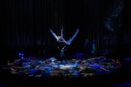 Постановка легендарного cirque du soleil «varekai» очима новгородського глядача