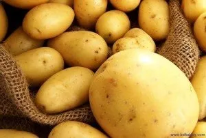 Картопля - цінний продукт харчування (картопля) Картопля - цінний продукт харчування