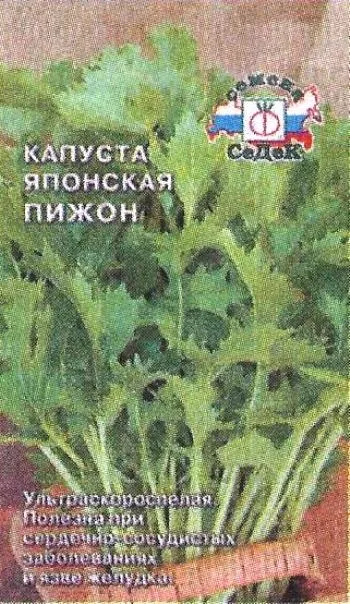 Капуста японська - сади сибіру