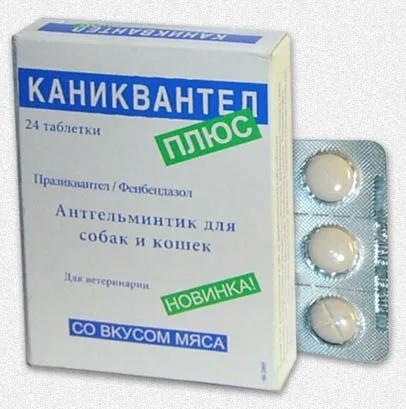 Каніквантел для собак інструкція із застосування (інструкція) Каніквантел для собак інструкція із застосування