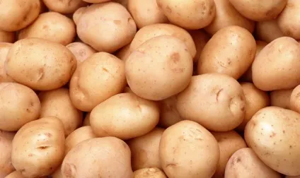 Картопля, як основний продукт харчування, жіночий журнал, жіночий портал, жіночі новини, новини (картопля) Картопля, як основний продукт харчування, жіночий журнал, жіночий портал, жіночі новини, новини