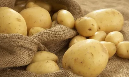 Картопля, як основний продукт харчування, жіночий журнал, жіночий портал, жіночі новини, новини (картоплі дуже різноманітні) Картопля, як основний продукт харчування, жіночий журнал, жіночий портал, жіночі новини, новини