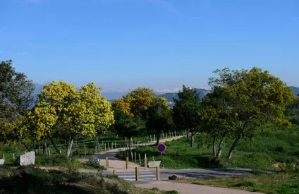 Канни пам'ятки і що подивитися (з фото), всі визначні пам'ятки