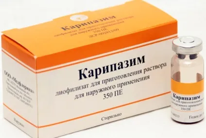 Карипазим при грижі хребта, властивості як застосовувати (хребта) Карипазим при грижі хребта, властивості як застосовувати