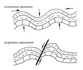Тектонічні порушення, складчасті порушення - тектонічні рухи земної кори