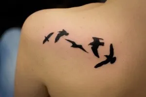 тату птиці