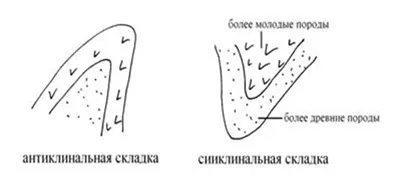 Тектонічні порушення, складчасті порушення - тектонічні рухи земної кори
