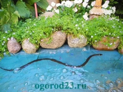 Цвіркуни в городі - як позбутися (городі) Цвіркуни в городі - як позбутися