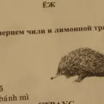 Топ 10 страв тайських макашніц, подорожі - моє життя! (Тайських) Топ 10 страв тайських макашніц, подорожі - моє життя!