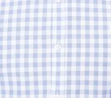 The best guide, клітина Гінкго (gingham)
