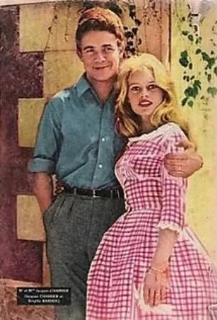 The best guide, клітина Гінкго (gingham)