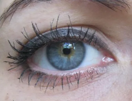 Туш для вій rimmel extra wow lash без ефекту «wow» - відгуки про косметику (extra) Туш для вій rimmel extra wow lash без ефекту «wow» - відгуки про косметику