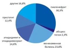 Урологічний збір при циститі рецепти урологічних зборів трав, показання та протипоказання (урологічних) Урологічний збір при циститі рецепти урологічних зборів трав, показання та протипоказання