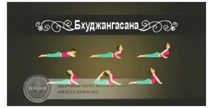 Вправа кішка для спини - гарантує молодість і гнучкість (кішка) Вправа кішка для спини - гарантує молодість і гнучкість