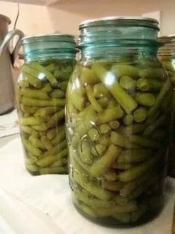Смачне домашнє консервування стручкова квасоля на зиму