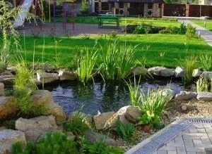 Водойми на дачі і в саду своїми руками приклади облаштування (саду) Водойми на дачі і в саду своїми руками приклади облаштування