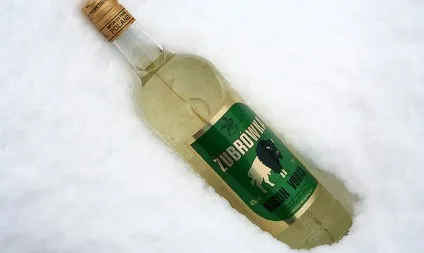 Горілка зубрівка і її опис, поради щодо вибору відео, nalivali (горілка) Горілка зубрівка і її опис, поради щодо вибору відео, nalivali