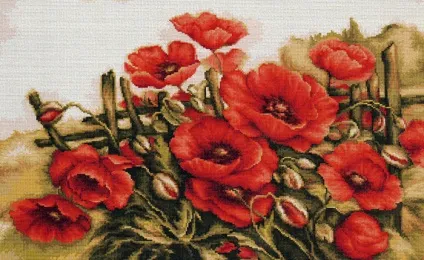 Вишивка маки хрестом схеми, інструкція та рекомендації (хрестом) Вишивка маки хрестом схеми, інструкція та рекомендації