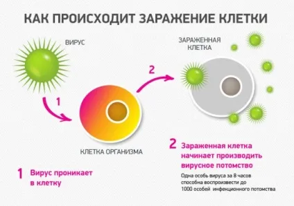 Вірус як визначити інфекції і що значить ГРЗ (перше) Вірус як визначити інфекції і що значить ГРЗ