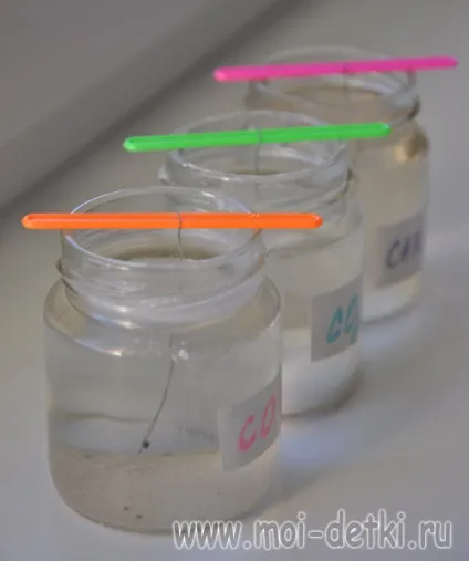 Вирощуємо кристали солі, соди, цукру (вирощуємо) Вирощуємо кристали солі, соди, цукру