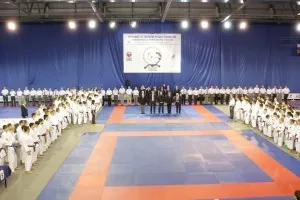 Всестильової карате