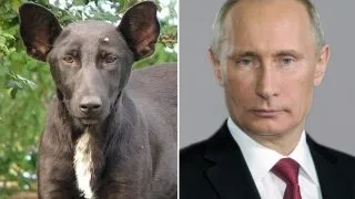 Я не знаю цих людей (людей) Я не знаю цих людей